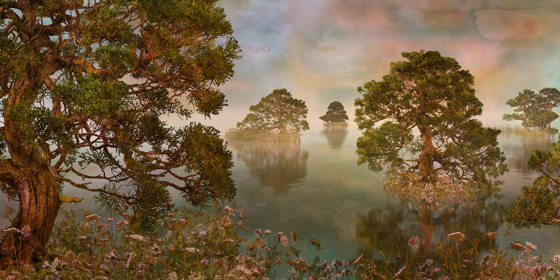 Vandfarver sø Sunset Forest tapetmalerier