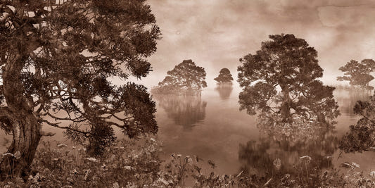 Aquarelle lac monochrome encre sépia papier peint peint