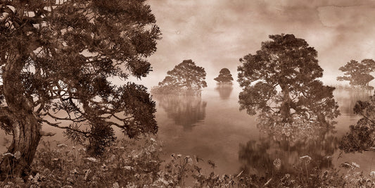 WaterColor Lake Monocromo Inchiostro Murales Seppia Sfondi