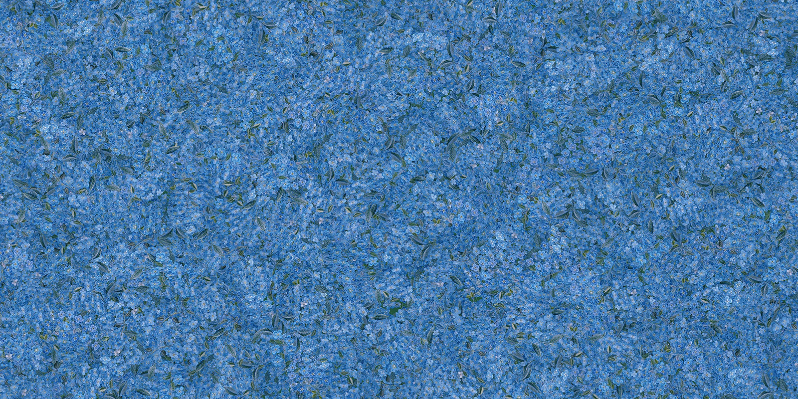 Mumo di carta da parati blu da ricamo a pattern di fiori