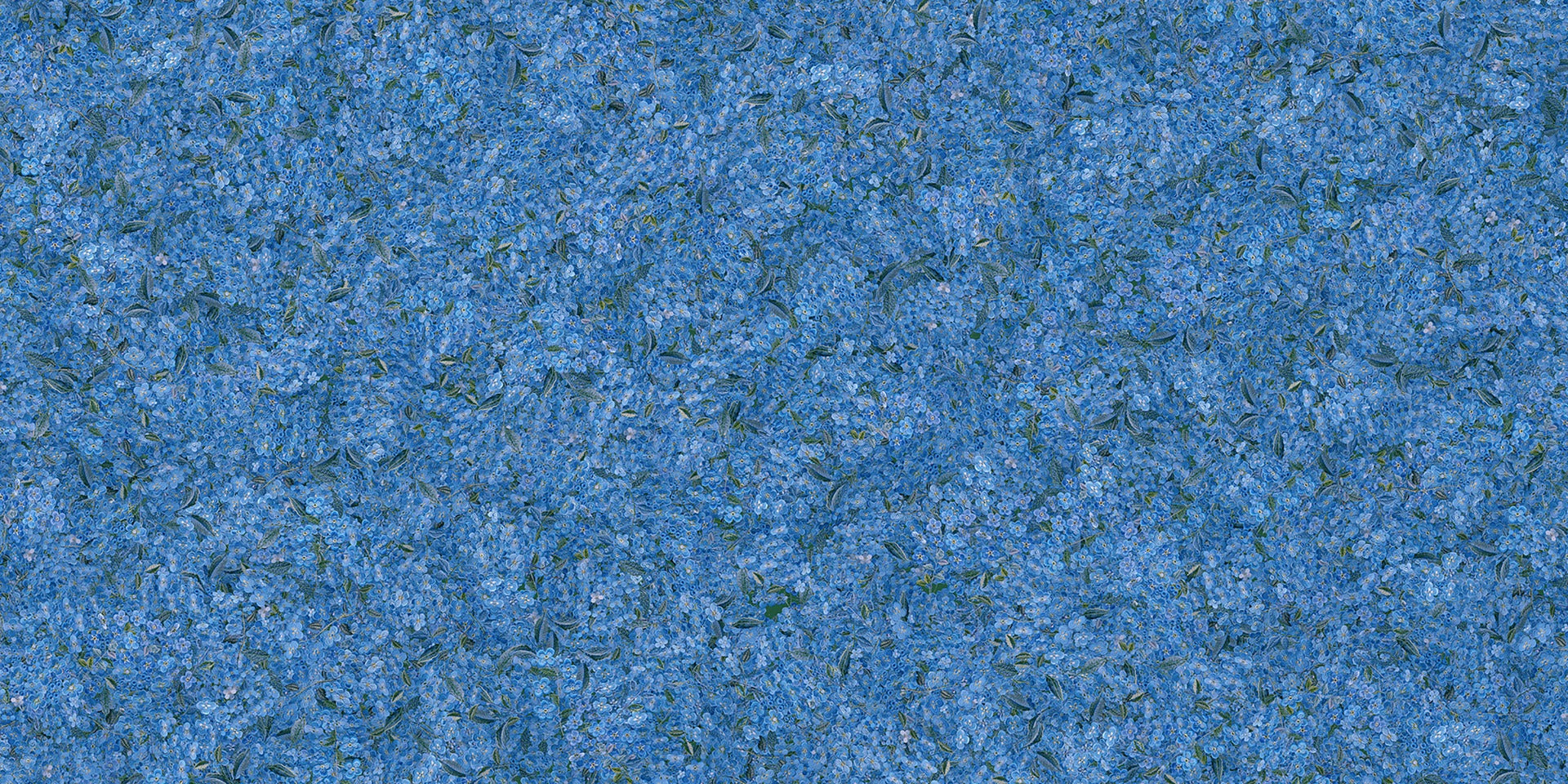 Mumo di carta da parati blu da ricamo a pattern di fiori in your room — zoomed