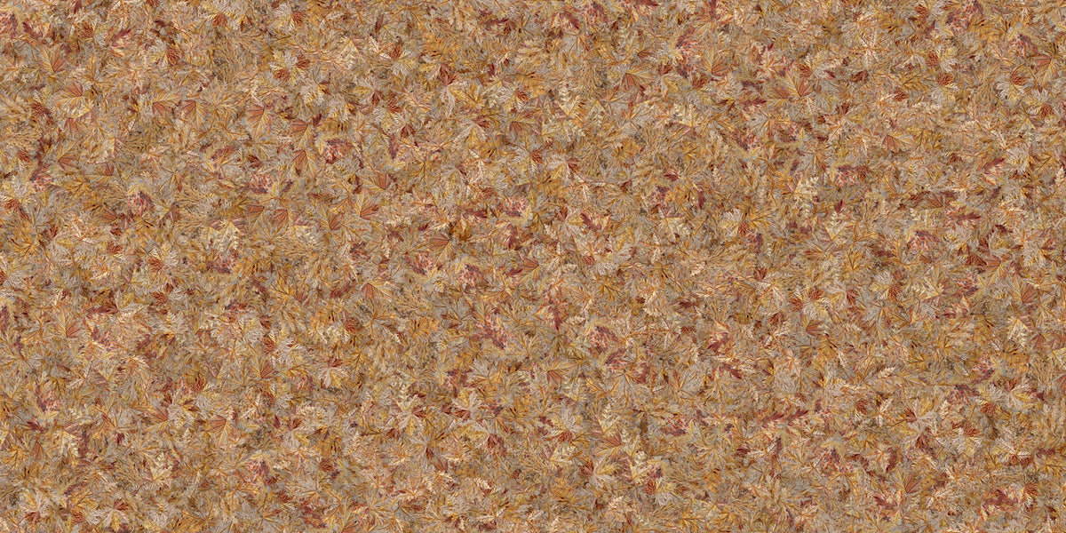 Taupe Brown Herbst Blatt Wallpaper Wandbild in your room — zoomed