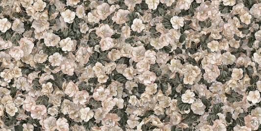 Valkoinen begonia kukkataustakuva seinämaalaukset