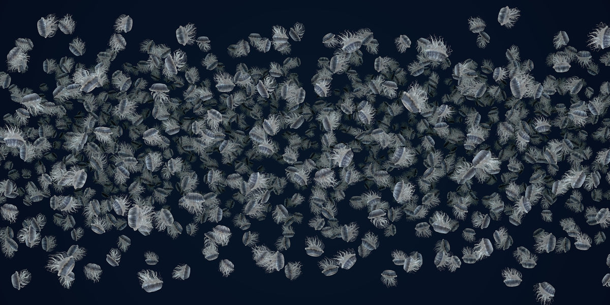 Meuglarisation dansante blanc sur papier peint bleu foncé