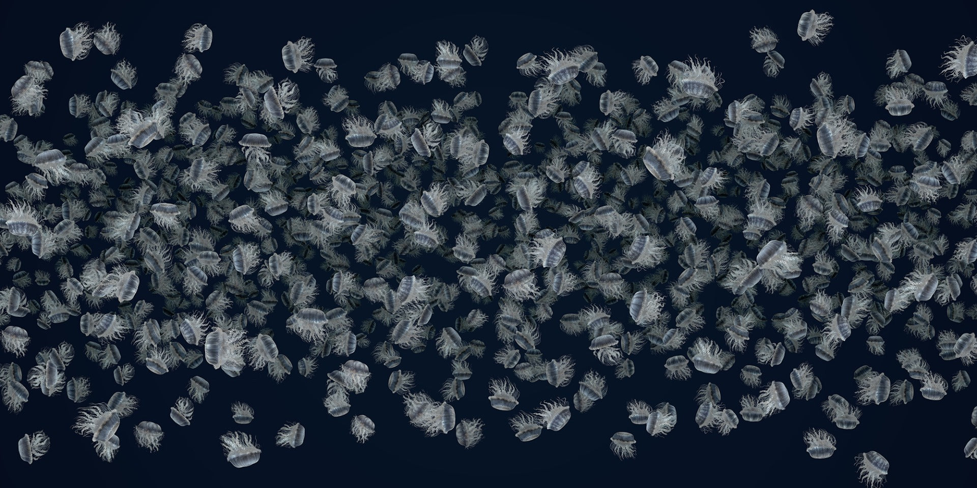 Meuglarisation dansante blanc sur papier peint bleu foncé in your room — zoomed