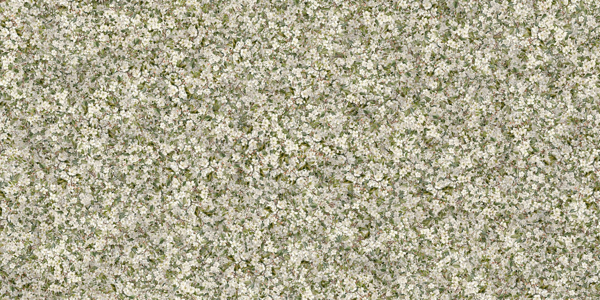 Fiori bianchi fiori fioriti murales in your room — zoomed