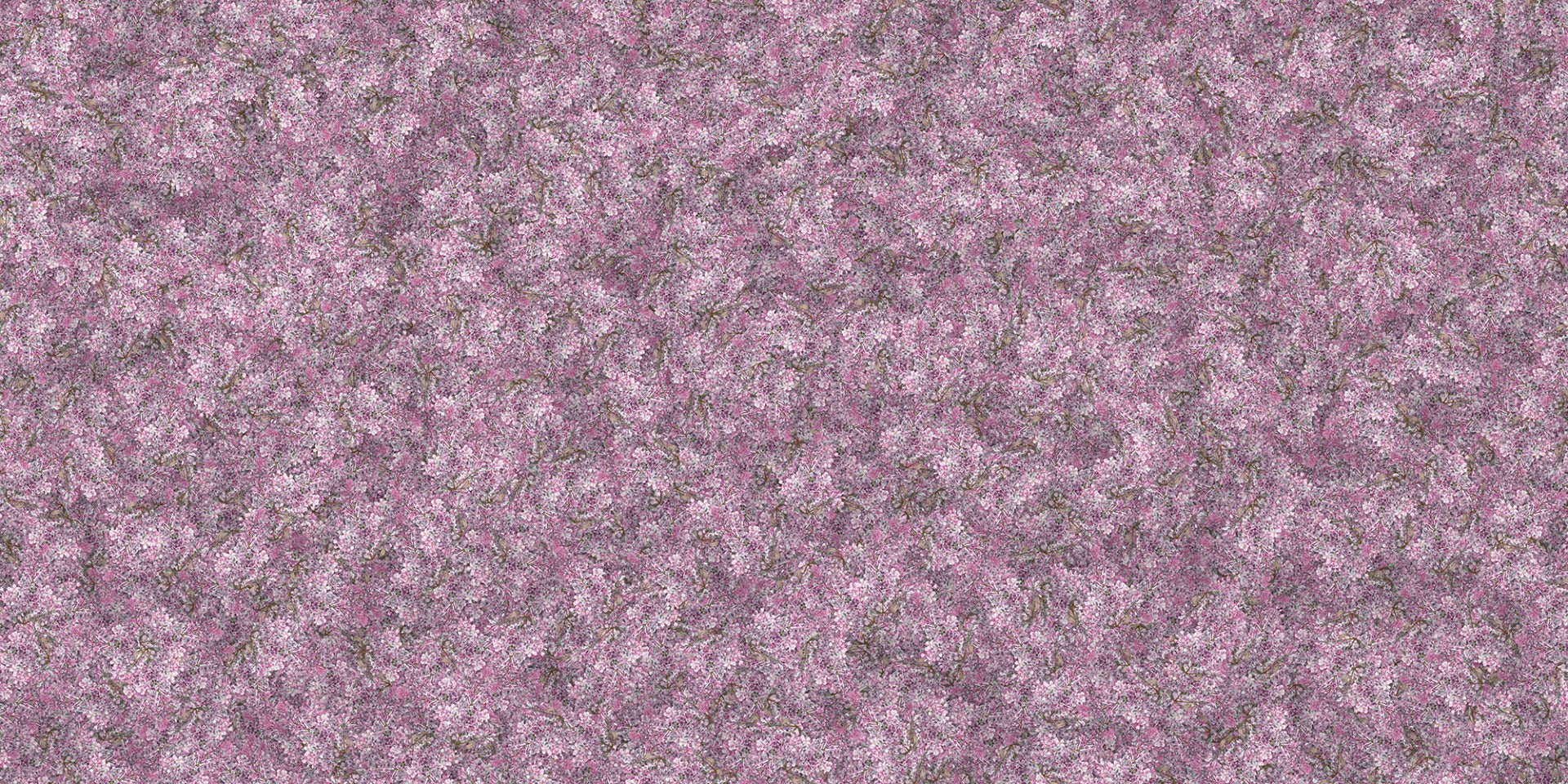 Lavendel Bliss Wandtapete in your room — zoomed