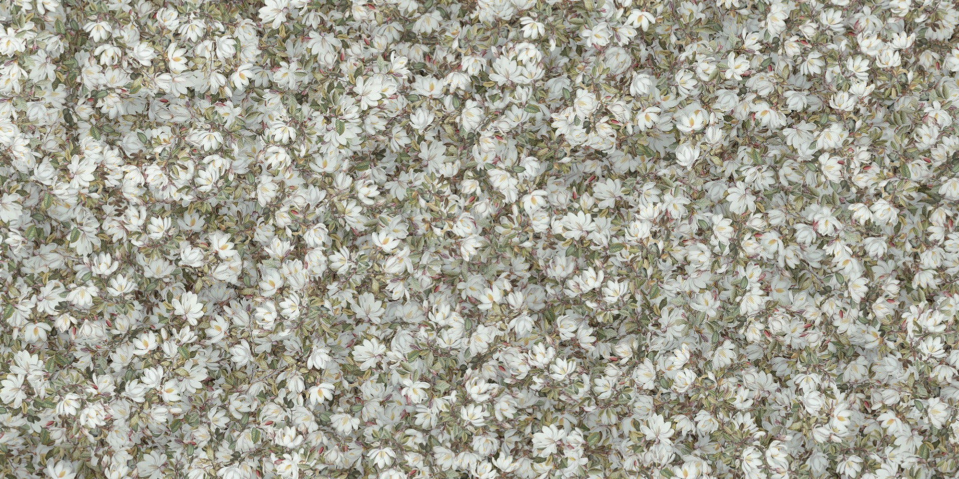 Manolia White Magnolia Floral Wallpaper Murales
