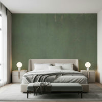 A graceful modern abstract wall mural in warm, natural tones.