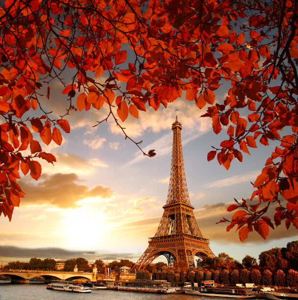 Eiffel Tower Autumn Fetes Wallpaper Pindals in your room — zoomed