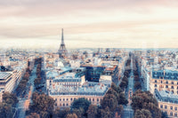 Eiffel Tower View Wall Mural