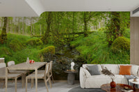 A wall mural of a vibrant emerald forest.

