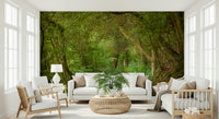 Solitary path mural thick growth arched trees ambient lighting.