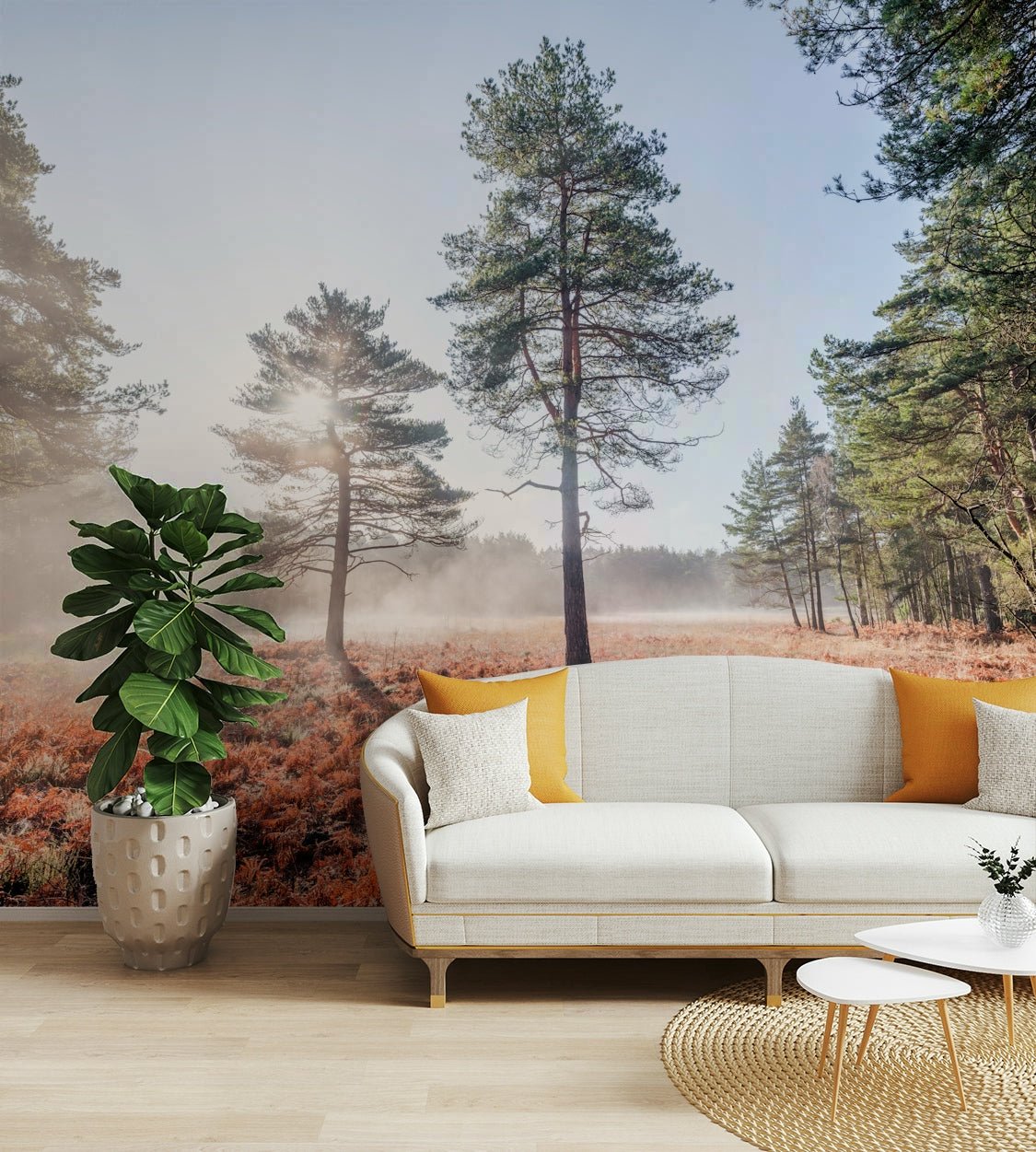 Towering trees emerging through fog.

