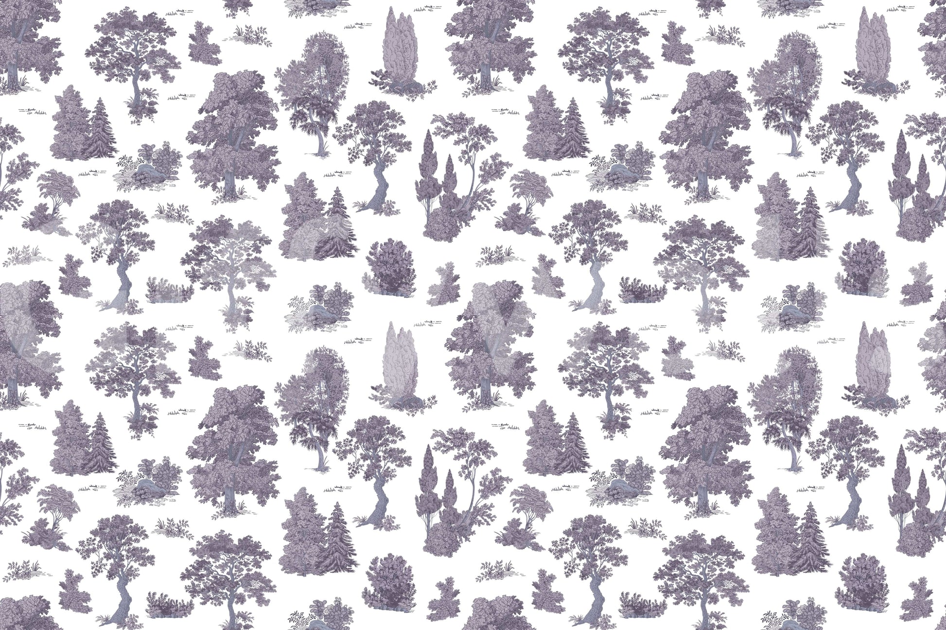 The style is a soft-focus illustration or a painterly design.

