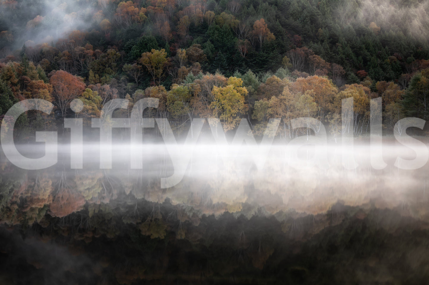 Mist Reflection wall poster, peaceful mountain trees design.