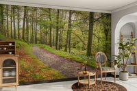 A wall mural of a trail in an enchanted forest.

