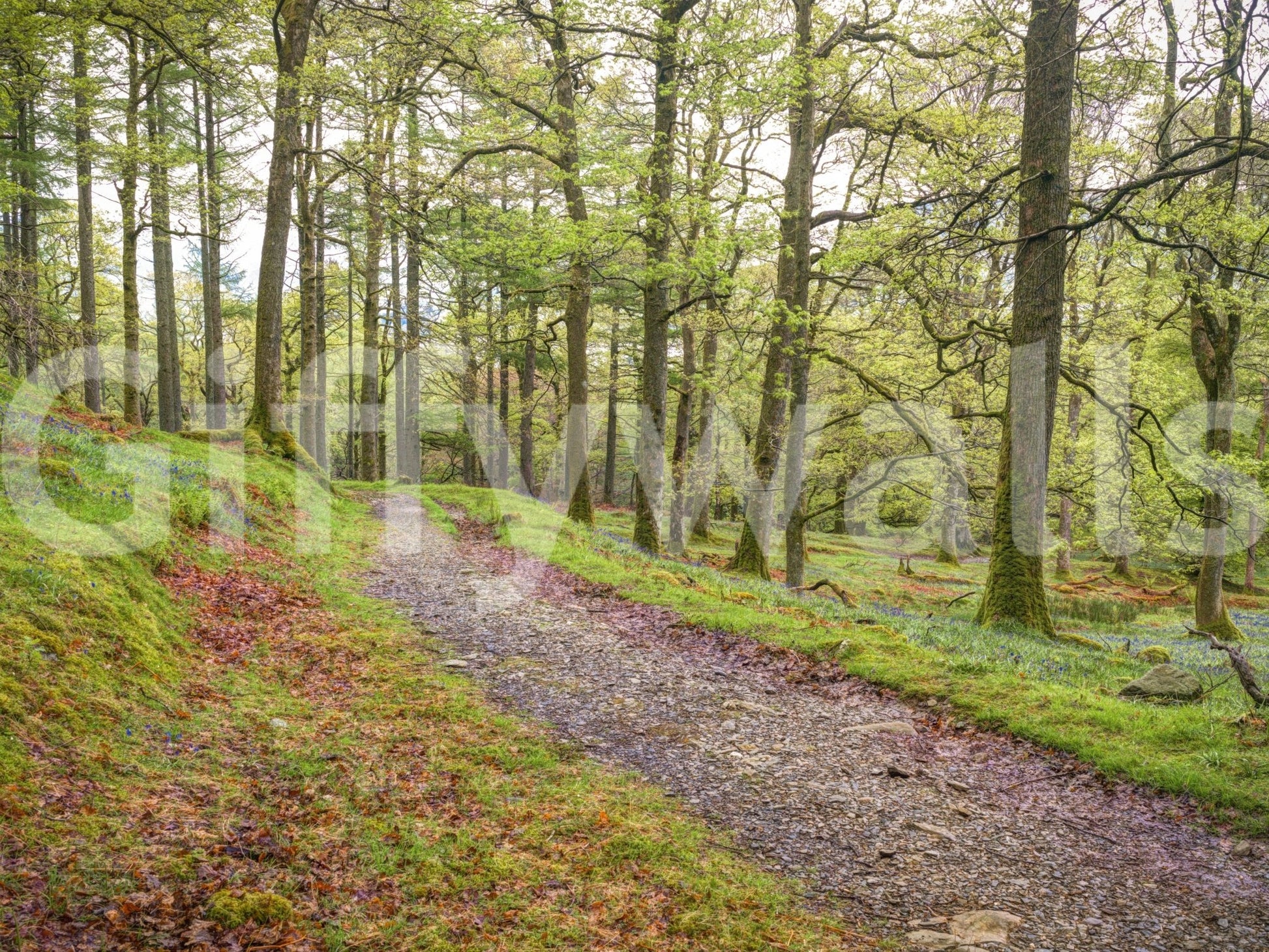 The design is realistic and detailed.

