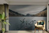 There are some tree branches in the water in the foreground.

