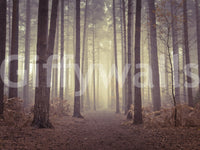 Foggy forest wall mural on stair wall, layered tree line, modern natural style