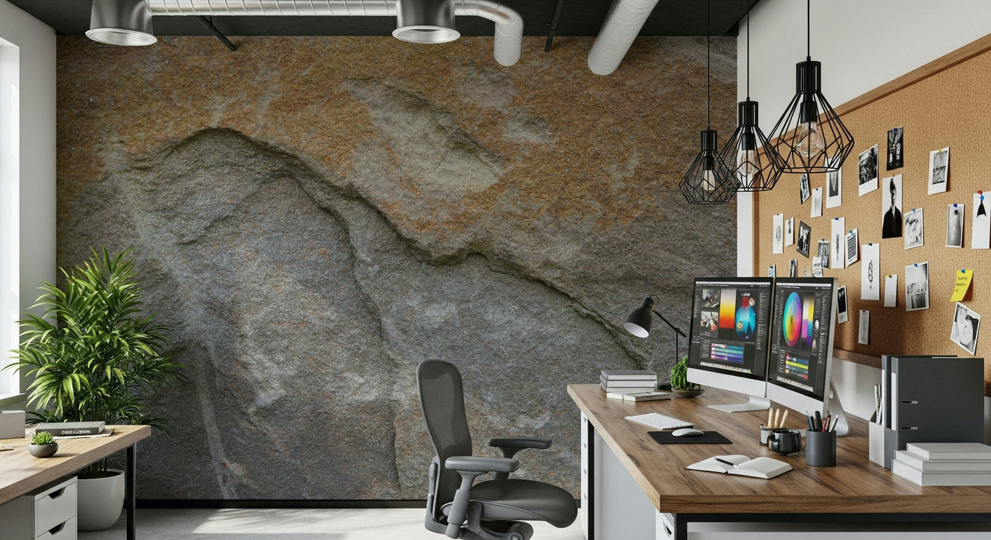 Eroded Rock Face Wall Mural -2566610