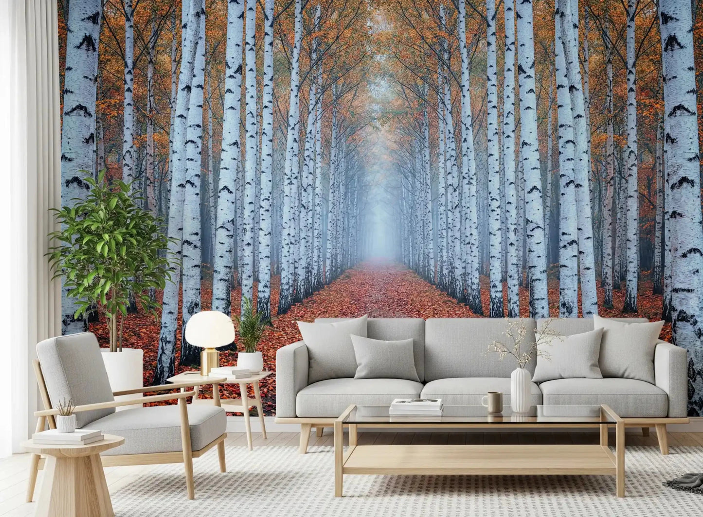 Ethereal Autumn Birches Wall Mural