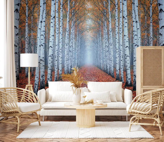 Living room birch forest mural with autumn leaves path