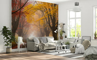Misty fall forest road mural in home office, warm colors and haze, modern wall decor