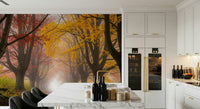 Autumn road wall mural in apartment dining area, tree-lined path, muted color palette