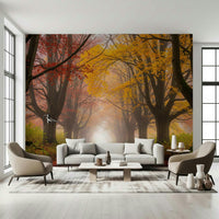 Ethereal Fall Road Wall Mural in bedroom, foggy autumn road scene, soft light, calm backdrop