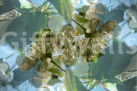 Soft floral texture wall design
