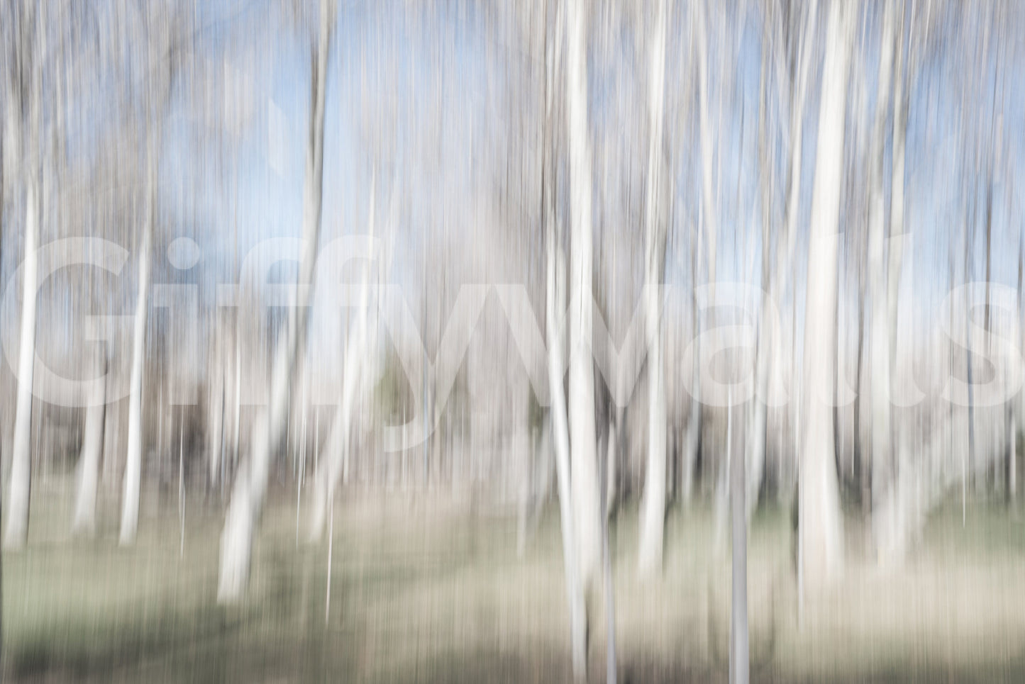 Ethereal Forest Light Wall Mural -2682331