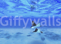 Blue water Ethereal Manta Rays mural home addition