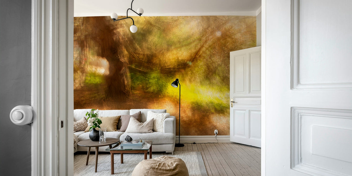 Dreamy light and color wall mural
