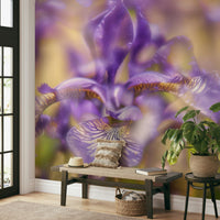 Ethereal Purple Iris Art Print | Delicate Floral Photography | Nature Wall Decor Wall Mural