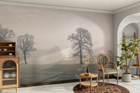 Flowing forms of trees and light.

