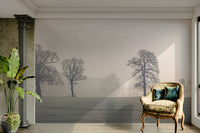 Inviting and calming aesthetic.

