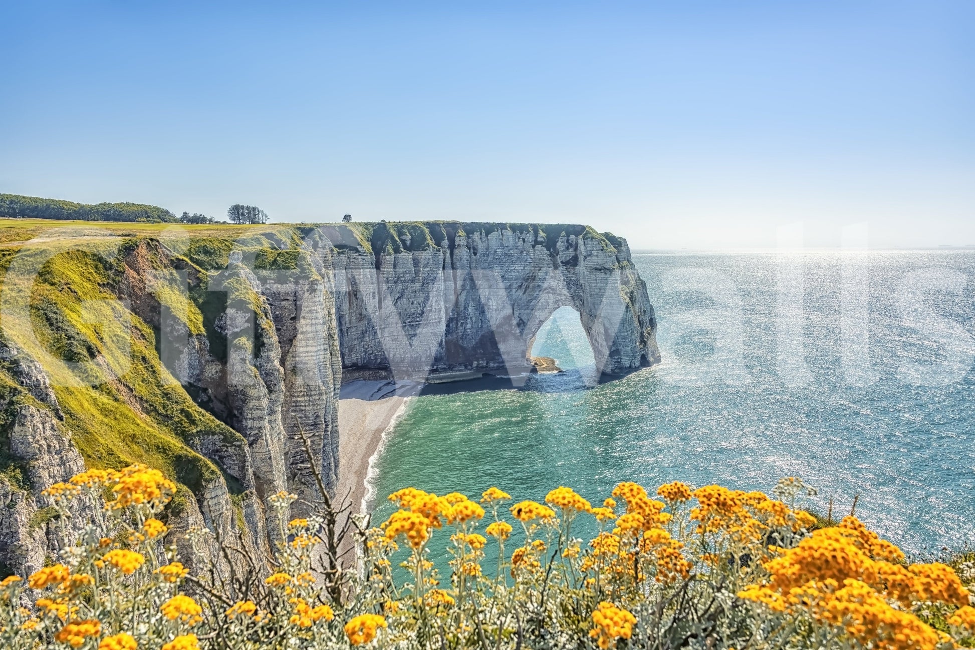 Yellow blooms along Etretat cliffs mural, gentle green color tones with sea wallpaper impression