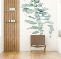 Sense of peace, tranquility, and freshness.

