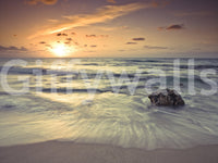 Evening Reverie Wall Mural