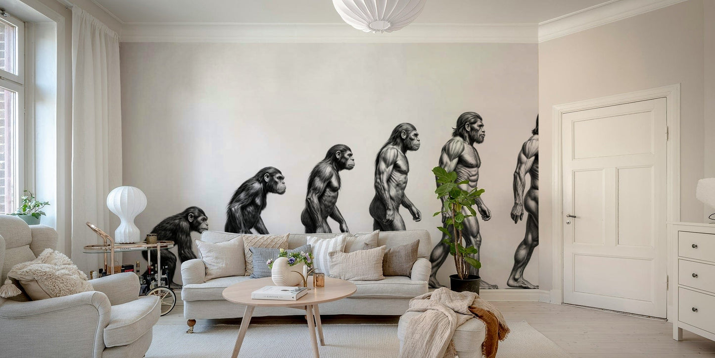 An educational wall mural illustrating human evolution.

