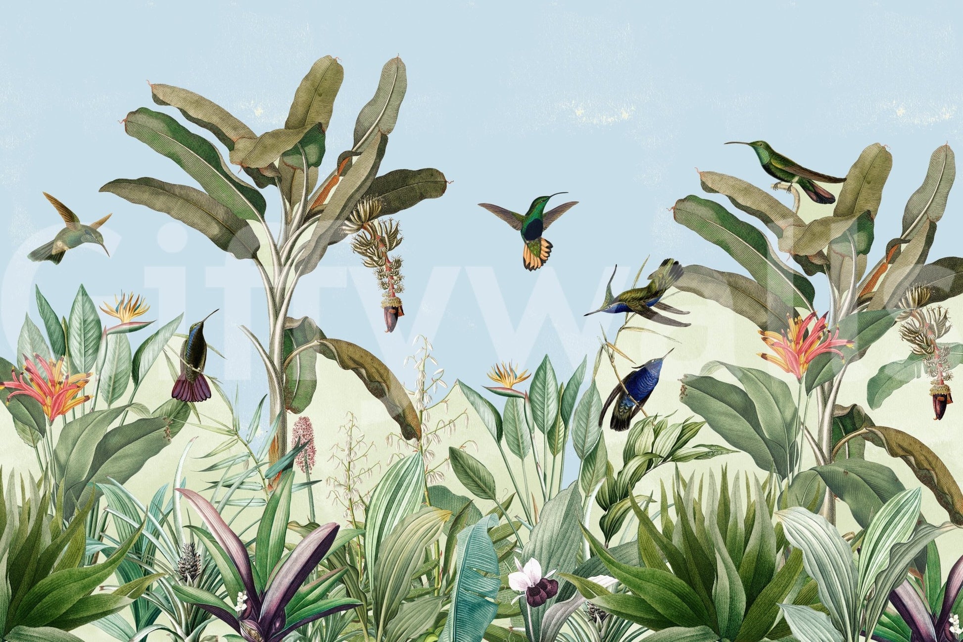 Focus on natural elements, wildlife, and rich colors.

