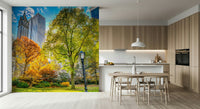 Beautiful wallpaper for walls featuring Central Park in Fall Colors, outdoor tranquility.