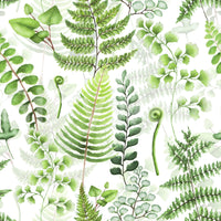 Adiantum and fronds patterned wallpaper mural