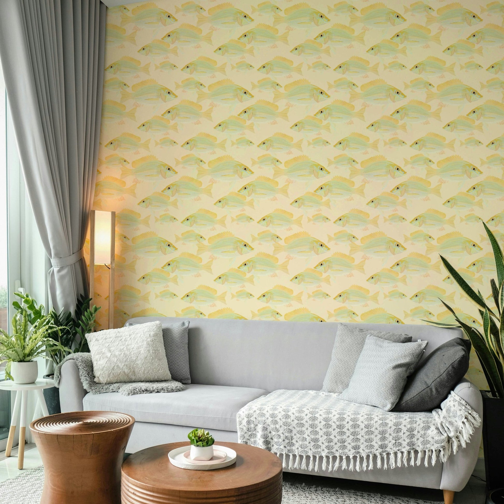 Fish-themed wallpaper in clean modern layout

