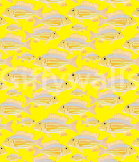 Subtle marine life wallpaper in neutral tones

