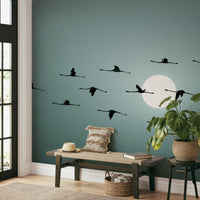 The image has a clean, minimalist look.

