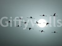 The design is non-realistic and interpretive.

