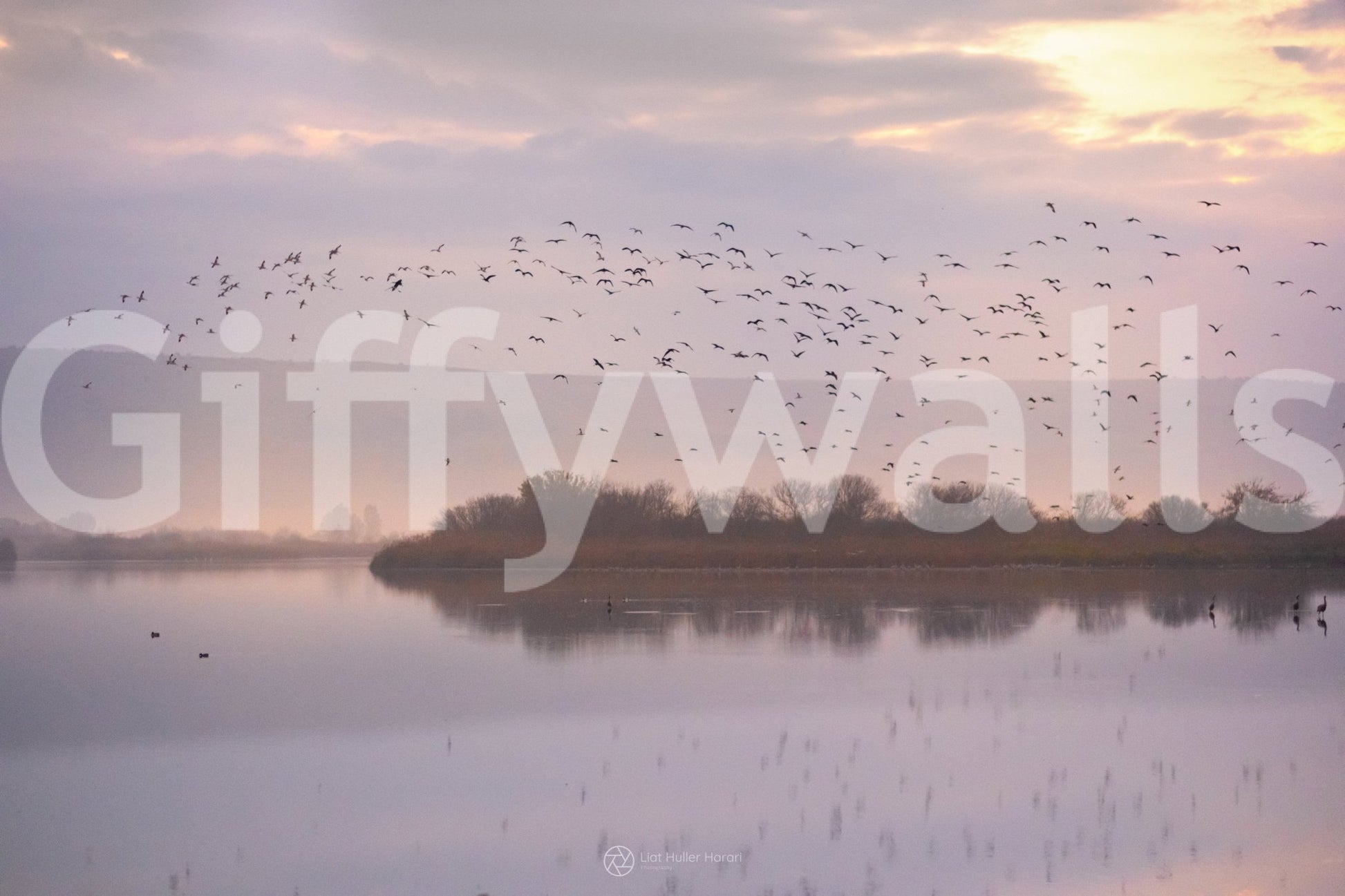 Captures the essence of birds in flight against a tranquil evening sky.
