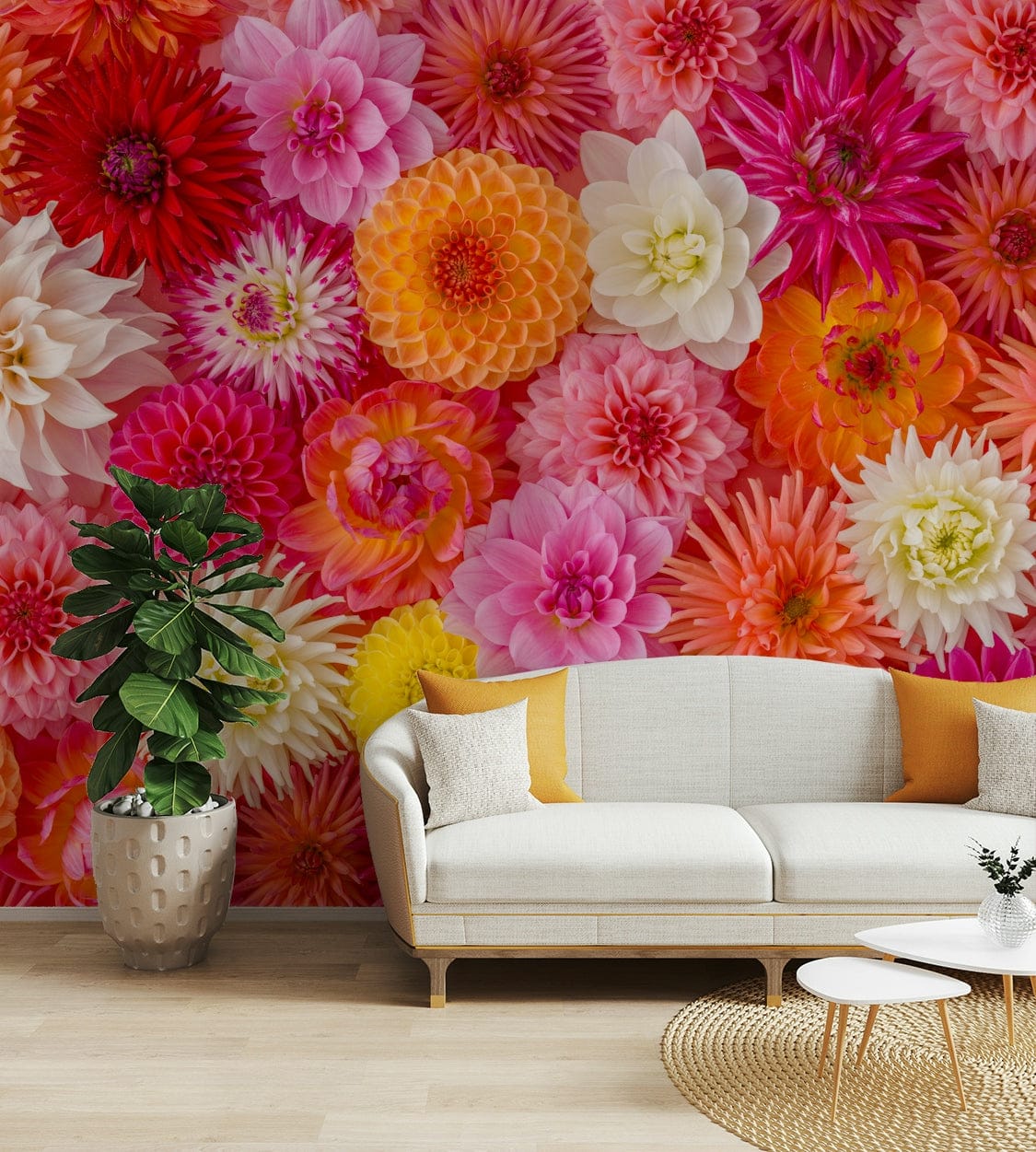 Floral Flourish wallpaper mural of bright pink and orange dahlias behind a white sofa and fiddle-leaf plant in a living room